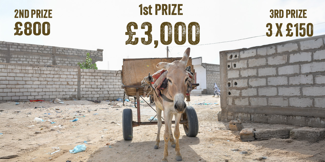 1st Prize £3,000. 2nd Prize £800. 3rd Prize 3 X £150. Runners-up 20 X £50, Fast Responder Bonus Draw £25 x £10 M&S Vouchers.